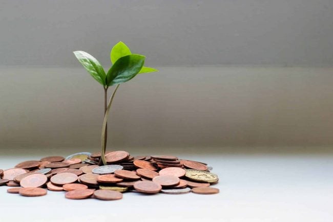 Invest-ES_Secretaria_contribui_para_o_desenvolvimento_sustentável Invest-ES | Secretaria contribui para o desenvolvimento sustentável